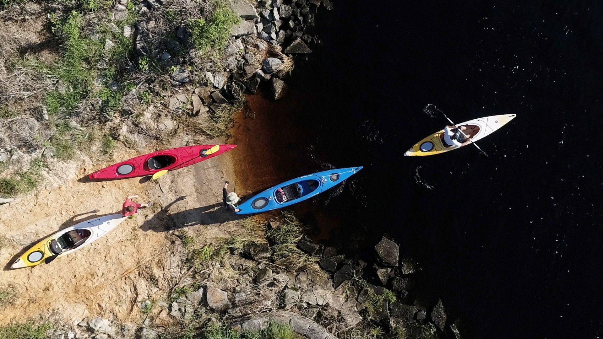 Four kayakers enter the water.